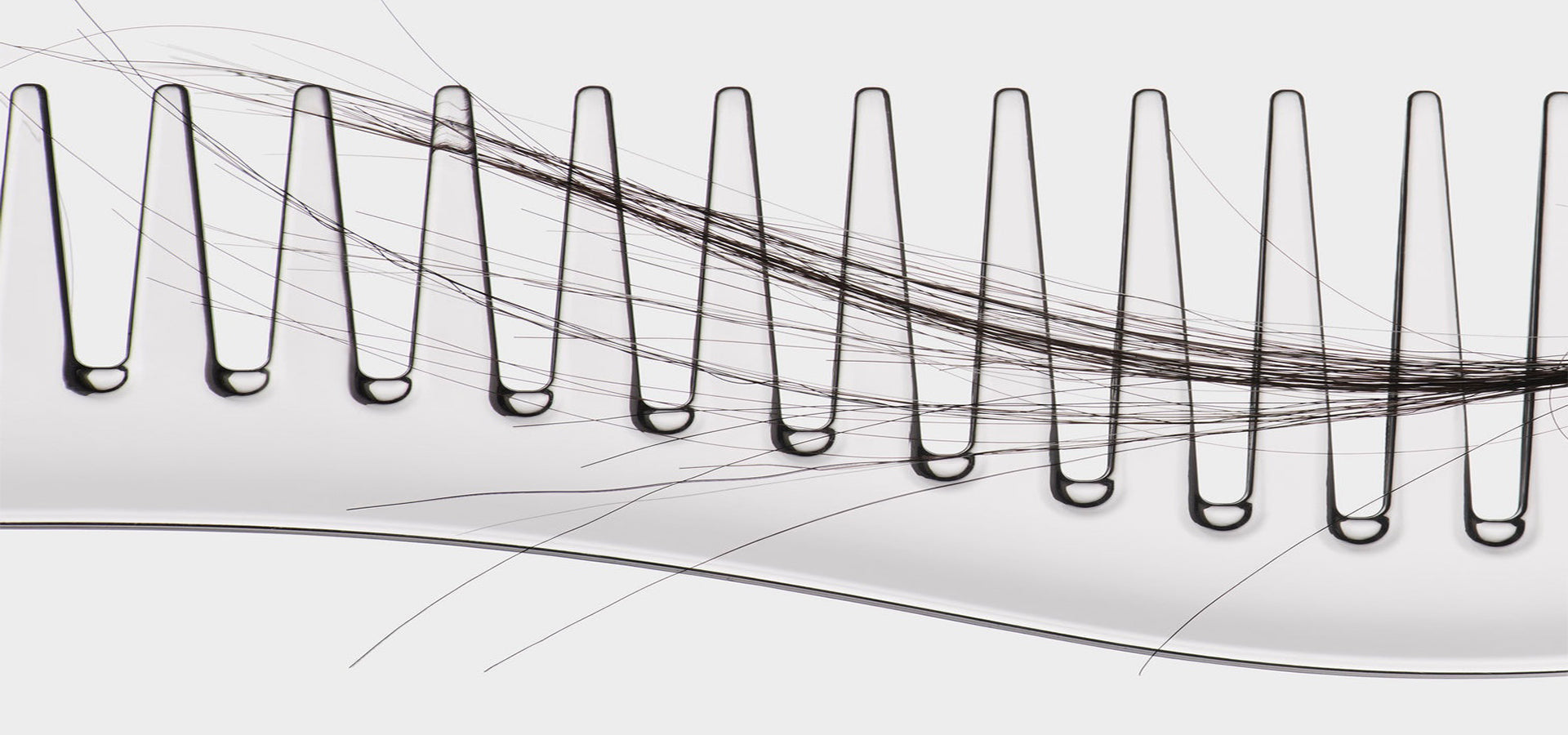 LE CYCLE DE VIE DU CHEVEU : COMPRENDRE LES PHASES POUR MIEUX AGIR
