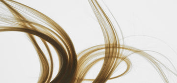 POINTES FOURCHUES : LES SECRETS POUR RETROUVER DES CHEVEUX LONGS, BRILLANTS ET SANS CASSURES